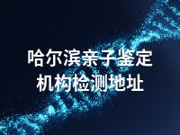 哈尔滨亲子鉴定机构检测地址