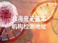 北海亲子鉴定机构检测地址