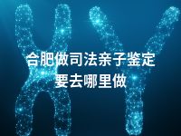 合肥做司法亲子鉴定要去哪里做