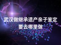武汉做继承遗产亲子鉴定要去哪里做