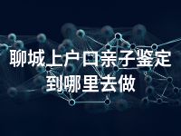 聊城上户口亲子鉴定到哪里去做