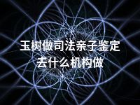 玉树做司法亲子鉴定去什么机构做
