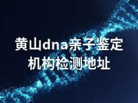 黄山dna亲子鉴定机构检测地址