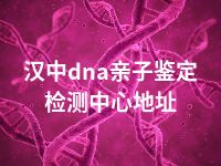 汉中dna亲子鉴定检测中心地址
