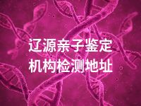 辽源亲子鉴定机构检测地址