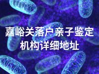 嘉峪关落户亲子鉴定机构详细地址