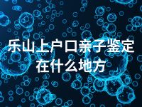 乐山上户口亲子鉴定在什么地方