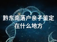 黔东南落户亲子鉴定在什么地方