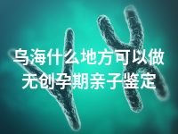 乌海什么地方可以做无创孕期亲子鉴定
