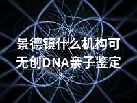 景德镇什么机构可无创DNA亲子鉴定