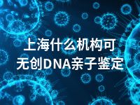 上海什么机构可无创DNA亲子鉴定