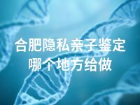 合肥隐私亲子鉴定哪个地方给做