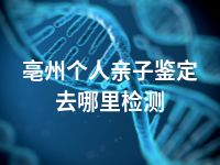 亳州个人亲子鉴定去哪里检测