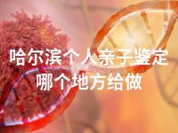哈尔滨个人亲子鉴定哪个地方给做