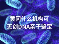 黄冈什么机构可无创DNA亲子鉴定