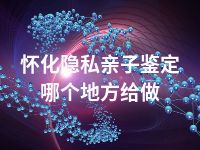 怀化隐私亲子鉴定哪个地方给做