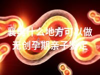 襄樊什么地方可以做无创孕期亲子鉴定