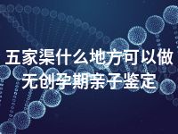 五家渠什么地方可以做无创孕期亲子鉴定