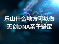 乐山什么地方可以做无创DNA亲子鉴定