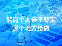 鹤岗个人亲子鉴定哪个地方给做