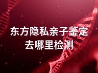 东方隐私亲子鉴定去哪里检测