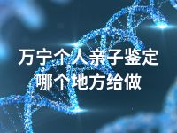 万宁个人亲子鉴定哪个地方给做