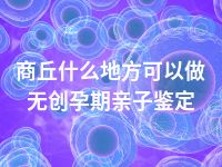 商丘什么地方可以做无创孕期亲子鉴定