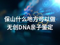保山什么地方可以做无创DNA亲子鉴定