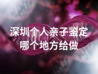 深圳个人亲子鉴定哪个地方给做