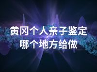 黄冈个人亲子鉴定哪个地方给做