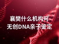 襄樊什么机构可无创DNA亲子鉴定