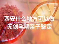 西安什么地方可以做无创孕期亲子鉴定