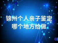锦州个人亲子鉴定哪个地方给做