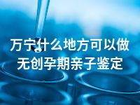 万宁什么地方可以做无创孕期亲子鉴定