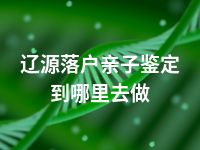 辽源落户亲子鉴定到哪里去做