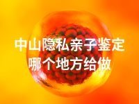 中山隐私亲子鉴定哪个地方给做