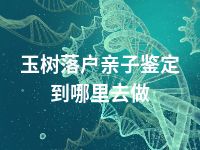 玉树落户亲子鉴定到哪里去做