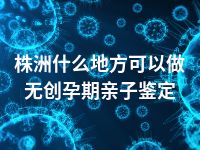 株洲什么地方可以做无创孕期亲子鉴定