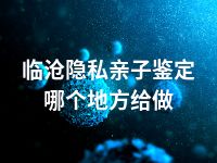 临沧隐私亲子鉴定哪个地方给做