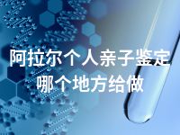 阿拉尔个人亲子鉴定哪个地方给做