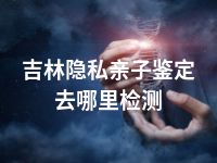 吉林隐私亲子鉴定去哪里检测