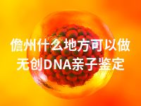 儋州什么地方可以做无创DNA亲子鉴定