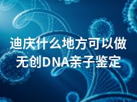 迪庆什么地方可以做无创DNA亲子鉴定