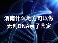 渭南什么地方可以做无创DNA亲子鉴定