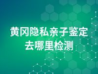 黄冈隐私亲子鉴定去哪里检测