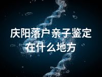 庆阳落户亲子鉴定在什么地方