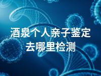酒泉个人亲子鉴定去哪里检测