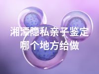 湘潭隐私亲子鉴定哪个地方给做