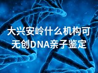 大兴安岭什么机构可无创DNA亲子鉴定