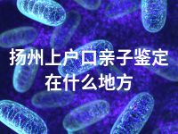 扬州上户口亲子鉴定在什么地方
